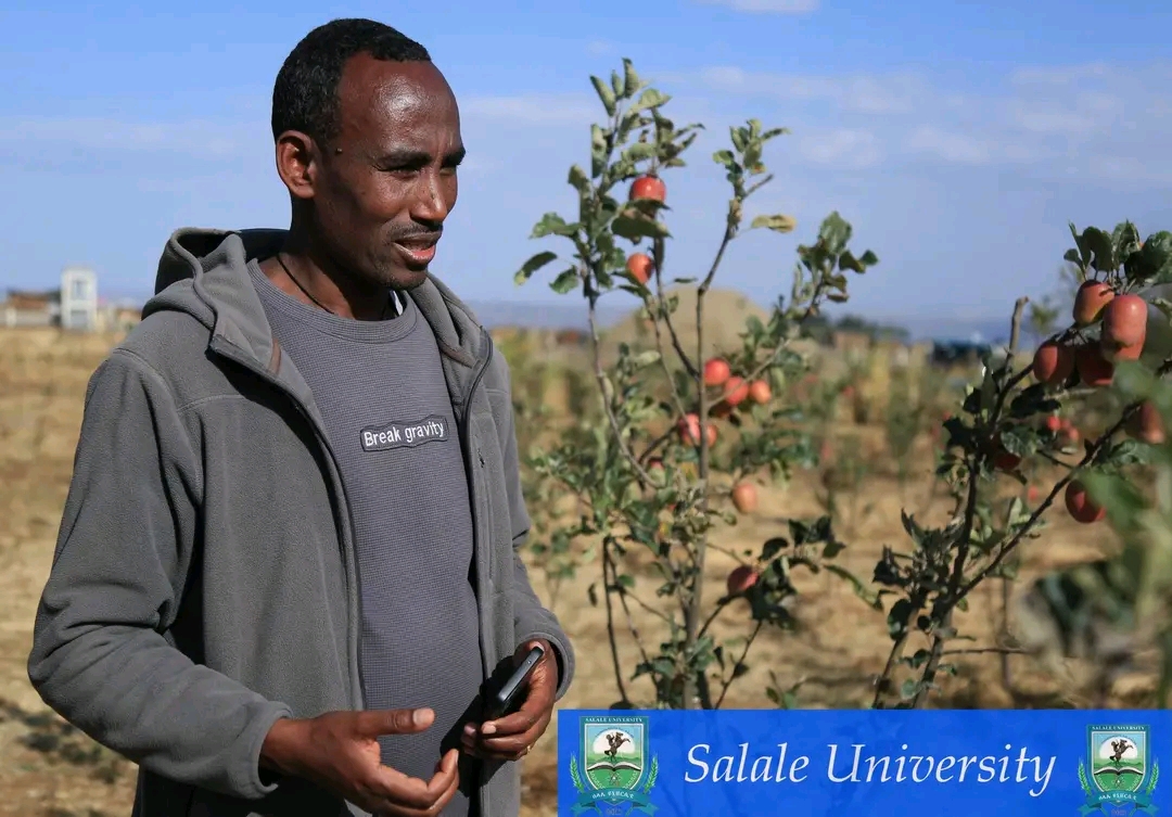 College of Agriculture and Natural Resources Undertakes Field Visit during Third-Year Apple Harvest
